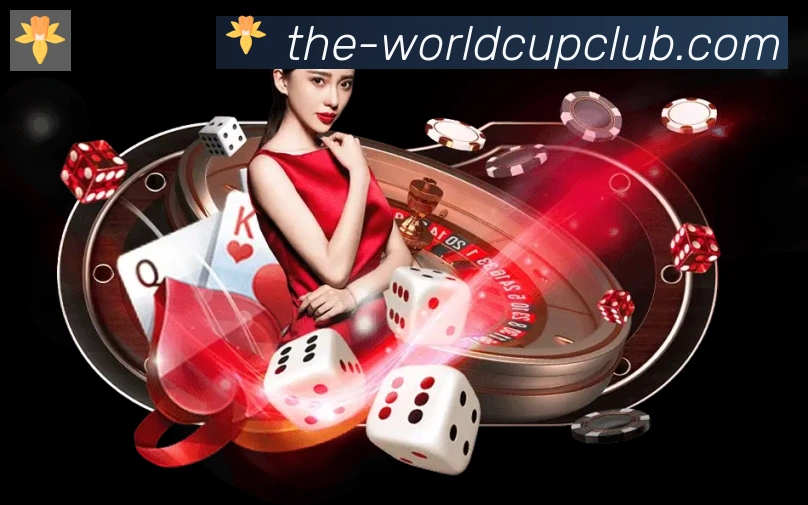 美加墨世界杯赔率入口平台生态图